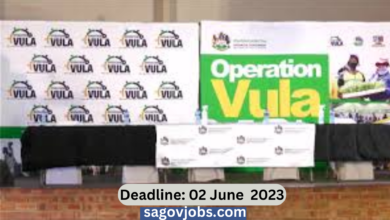 x10 Posts Project Officer Vacancies At KZN Department Of Economic Development 2023 | Operation Vula Fund|